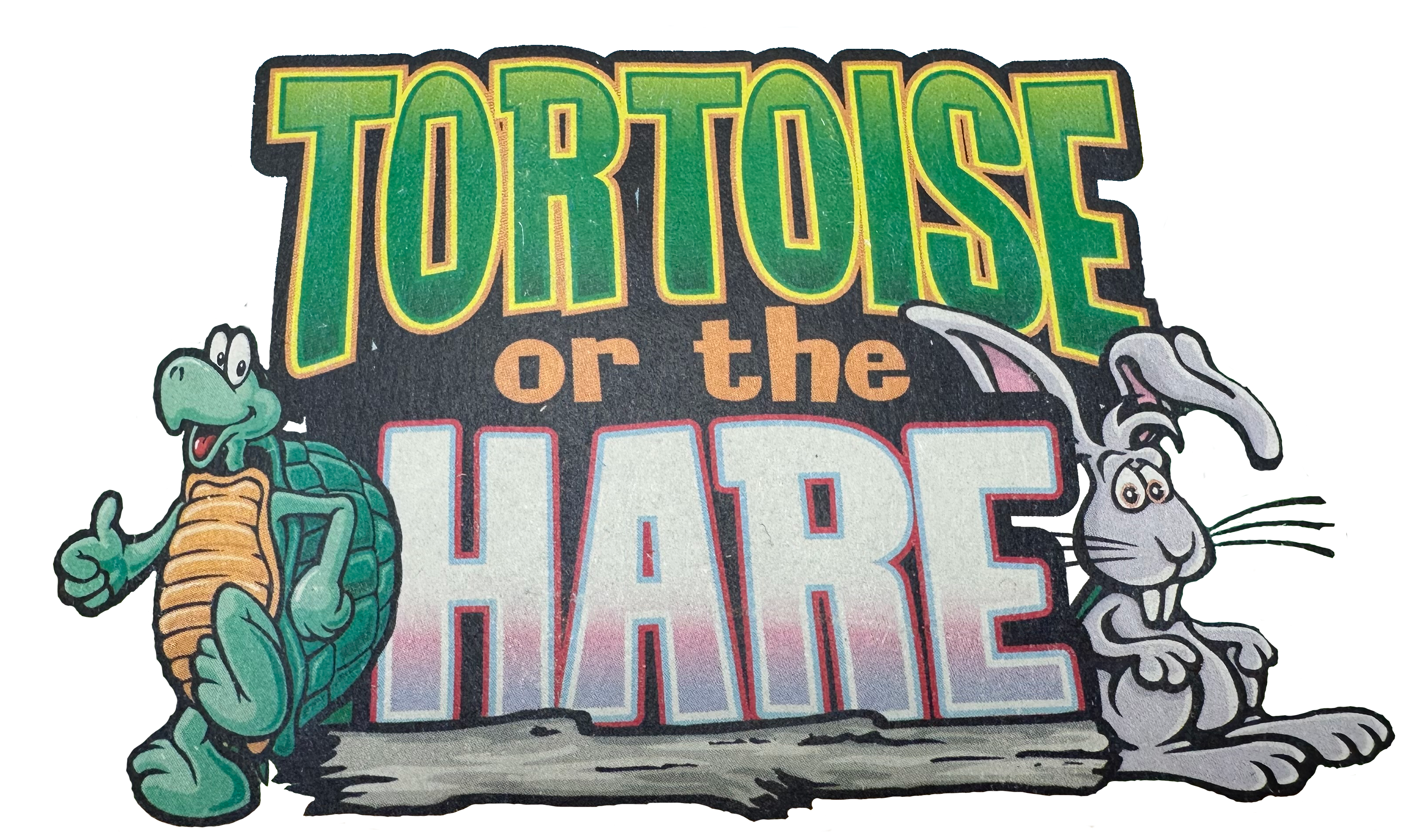 Tortoise and Hare Game